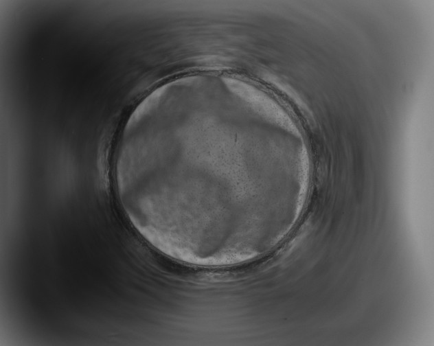 X0000087581451200705181152