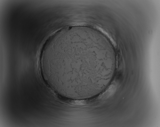 X0000087581453200705181152