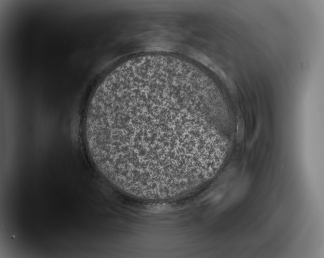 X0000087581454200705181152