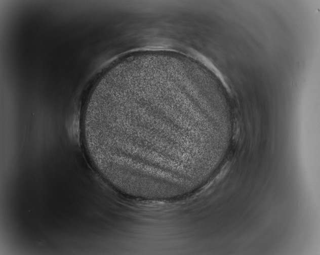X0000087581456200705181152