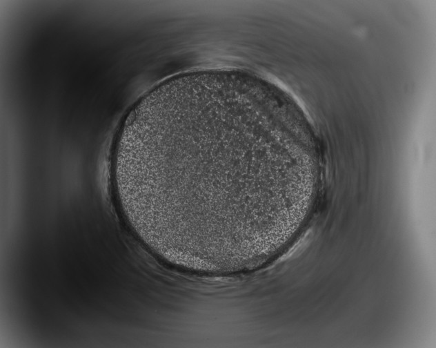 X0000087581459200705181152
