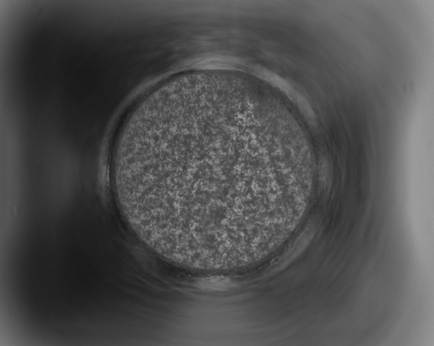 X0000087581462200705181152