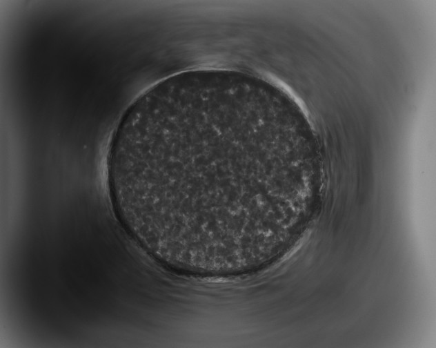 X0000087581463200705181152