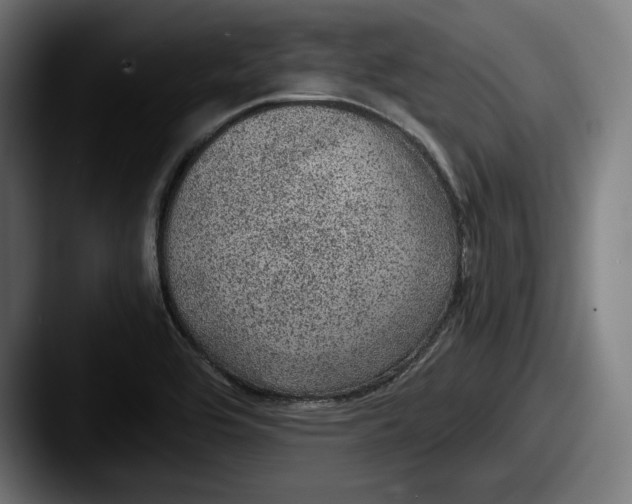 X0000087581464200705181152