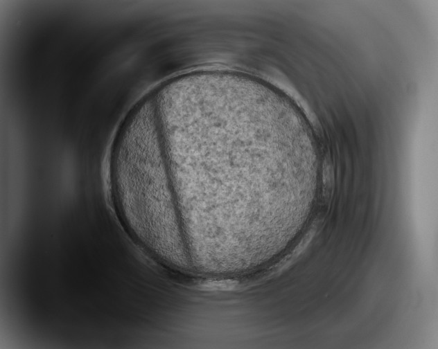 X0000087581466200705181152