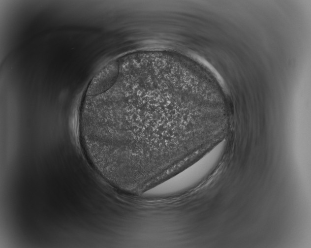 X0000087581467200705181152