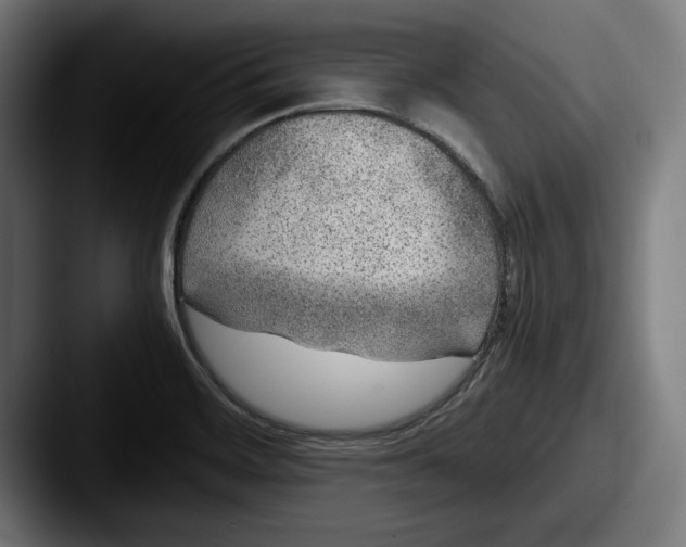 X0000087581468200705181152