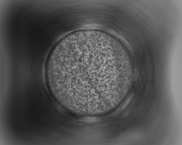 X0000087581470200705181152