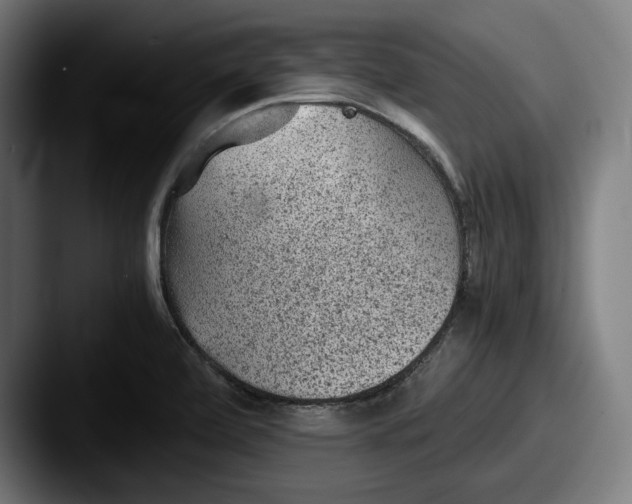 X0000087581472200705181152