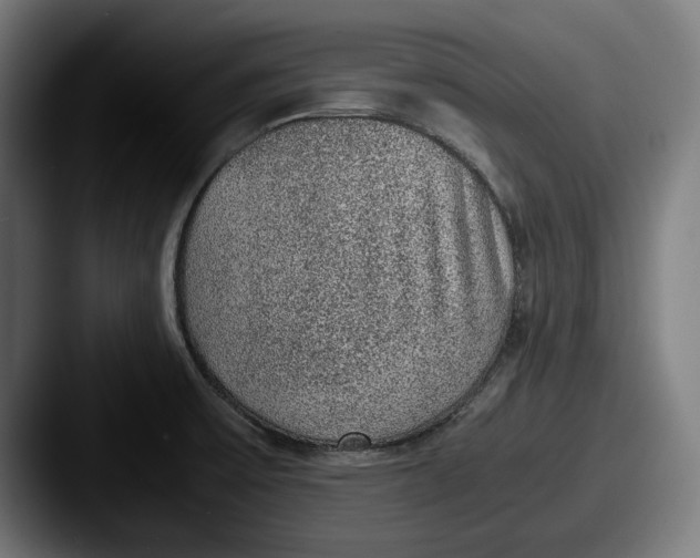 X0000087581475200705181152