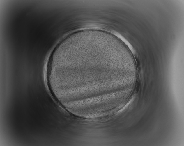X0000087581477200705181152