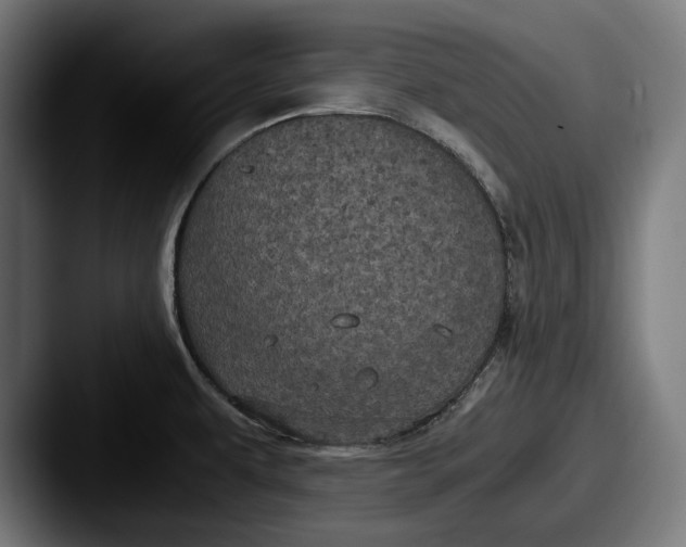 X0000087581479200705181152