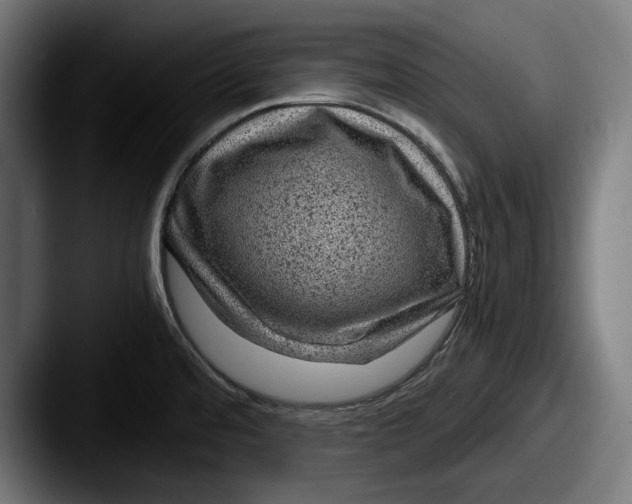 X0000087581480200705181152