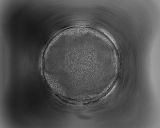 X0000087581481200705181152