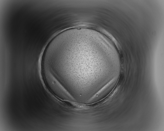 X0000087581483200705181152