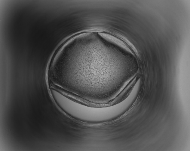 X0000087581484200705181152