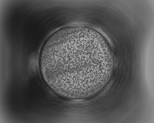 X0000087581486200705181152