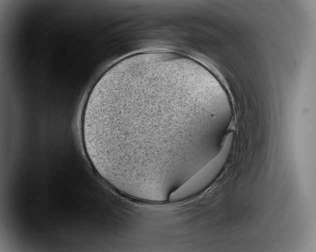 X0000087581488200705181152