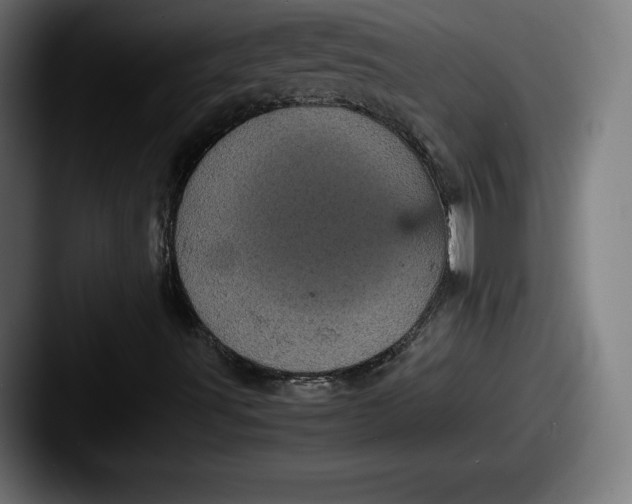 X0000087581491200705181151