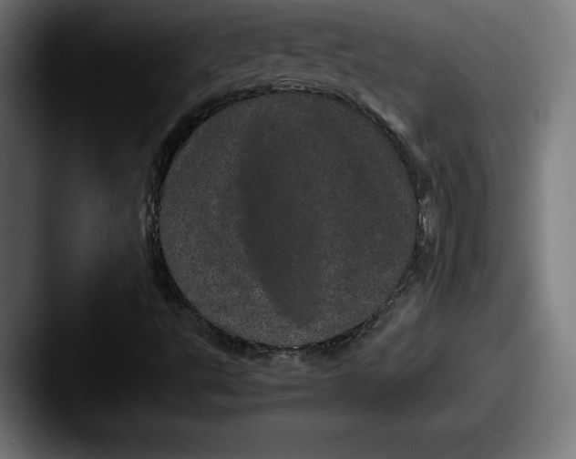 X0000087581495200705181151