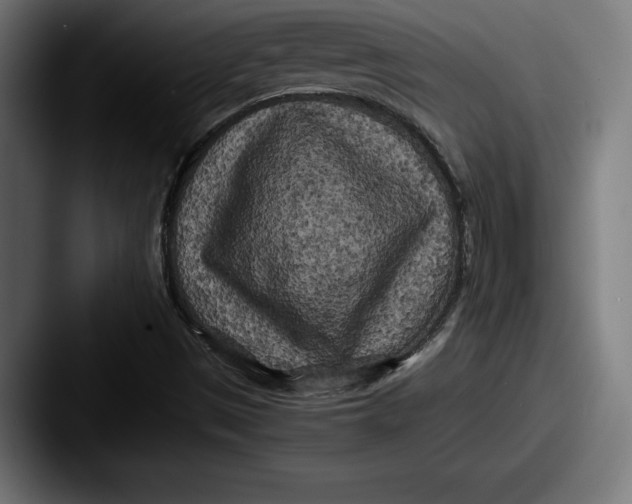 X0000087581497200705181151