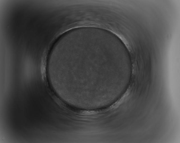 X0000087581499200705181151
