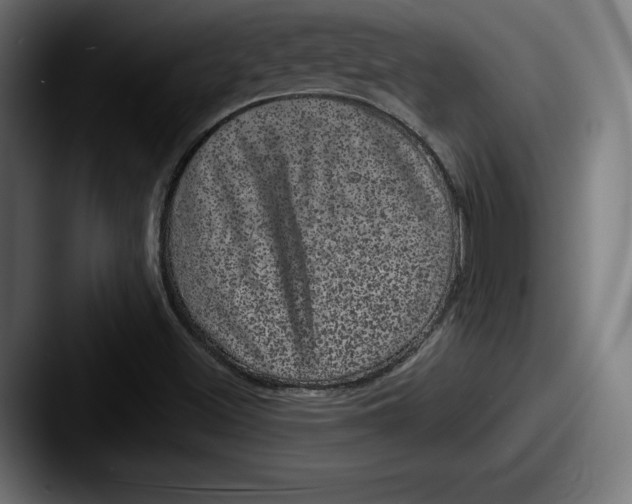 X0000087581500200705181151