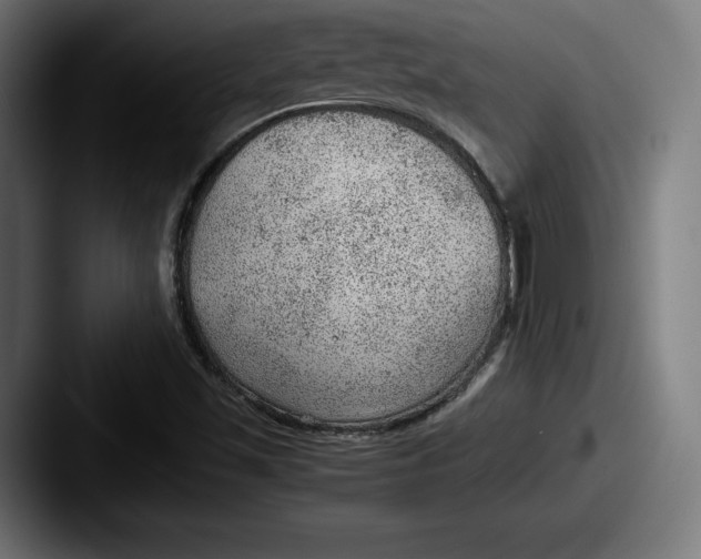 X0000087581501200705181151