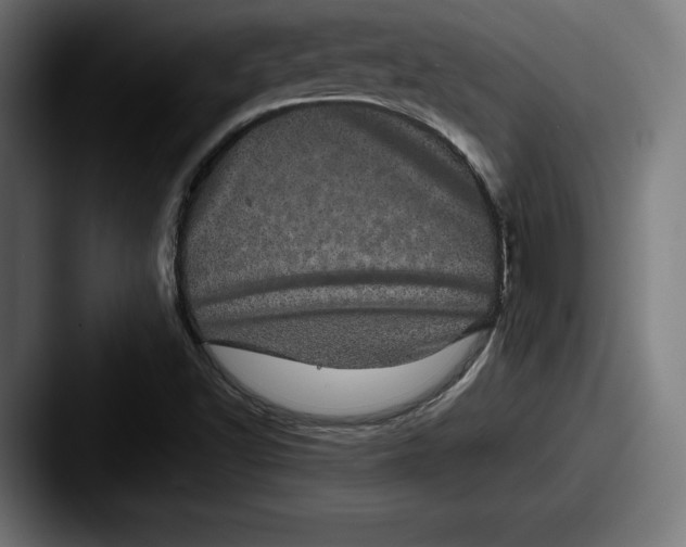 X0000087581502200705181151