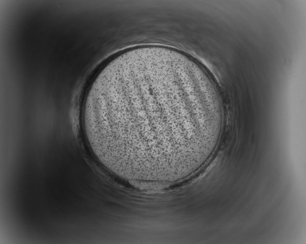 X0000087581503200705181151
