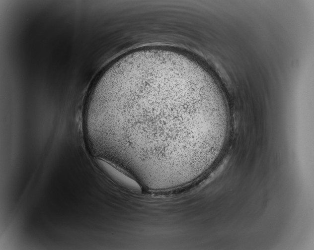 X0000087581505200705181151