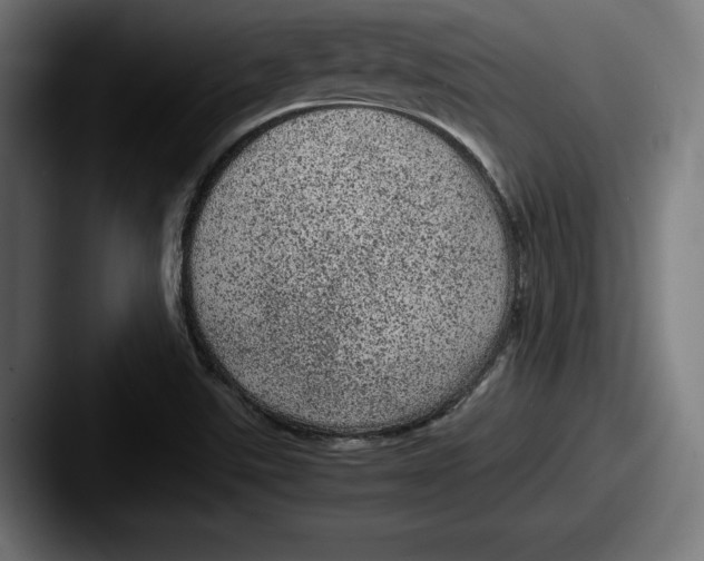 X0000087581507200705181152