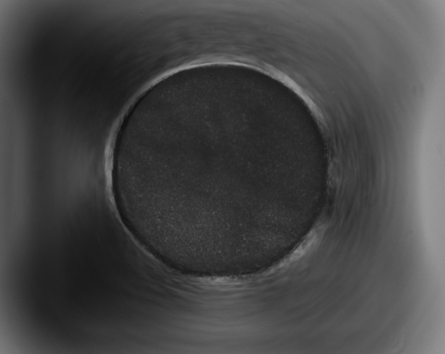 X0000087581508200705181152