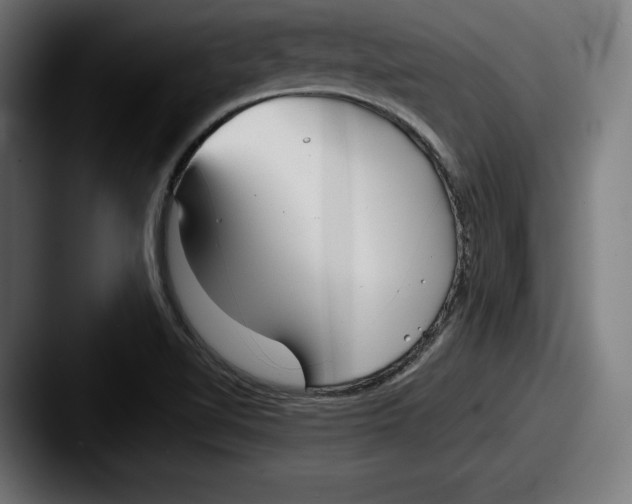 X0000087581510200705181152