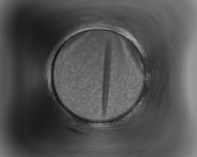 X0000087581512200705181152