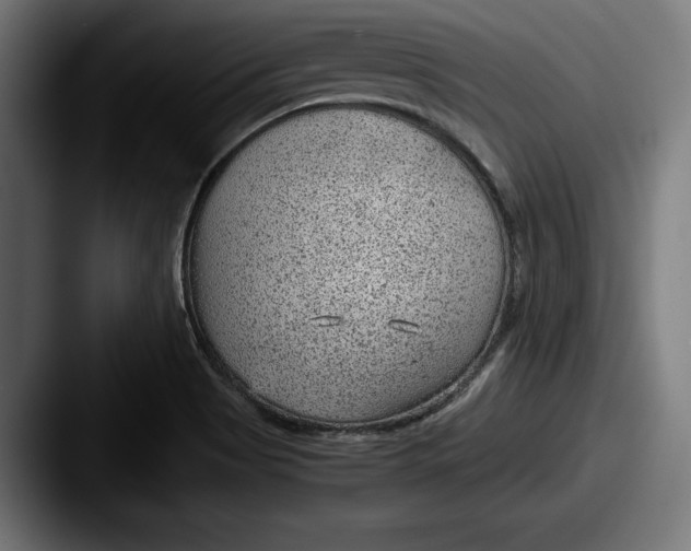 X0000087581513200705181152