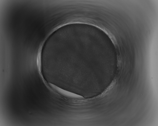 X0000087581515200705181152