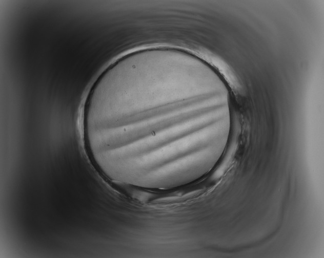 X0000087581516200705181152