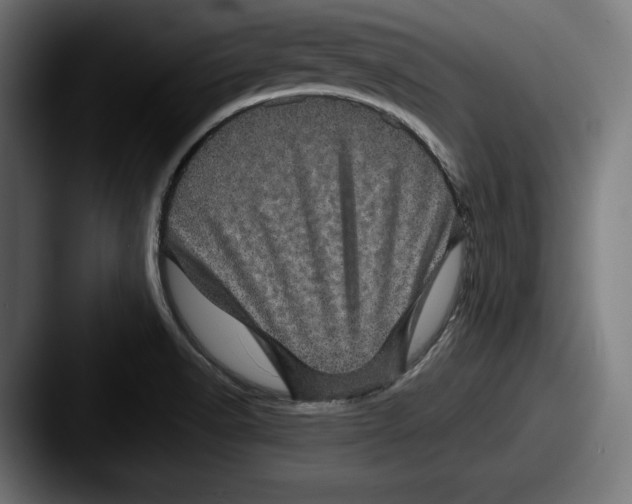 X0000087581518200705181152