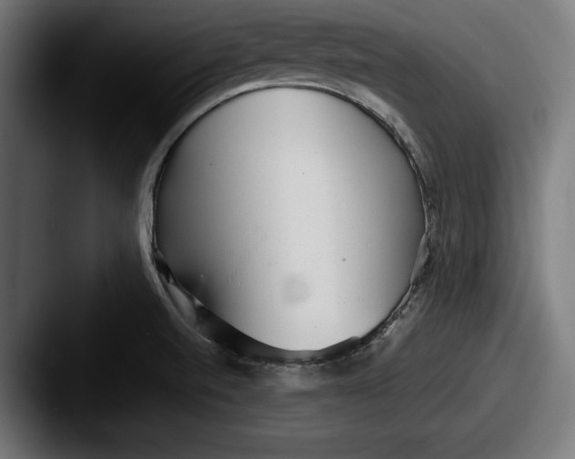 X0000087581520200705181152