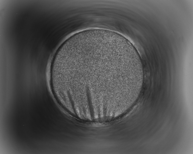 X0000087581523200705181152