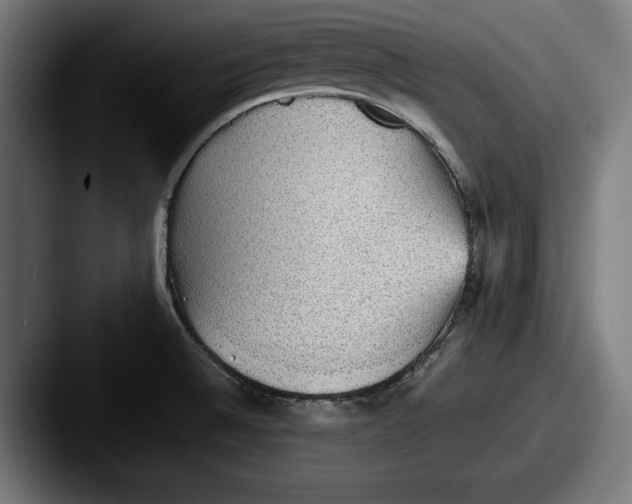 X0000087581524200705181152