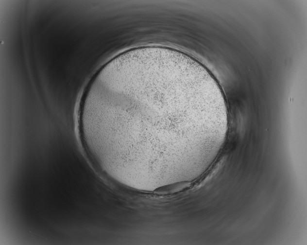 X0000087581525200705181152