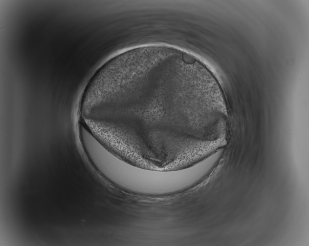 X0000087581526200705181152