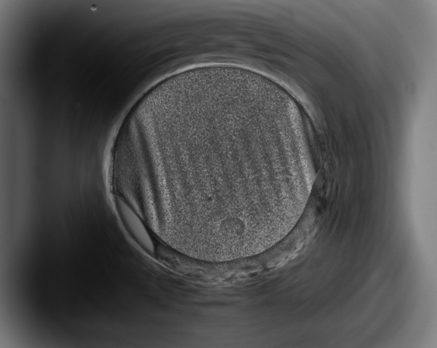 X0000087581527200705181152