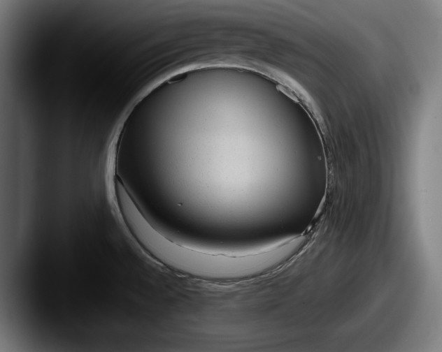 X0000087581528200705181152