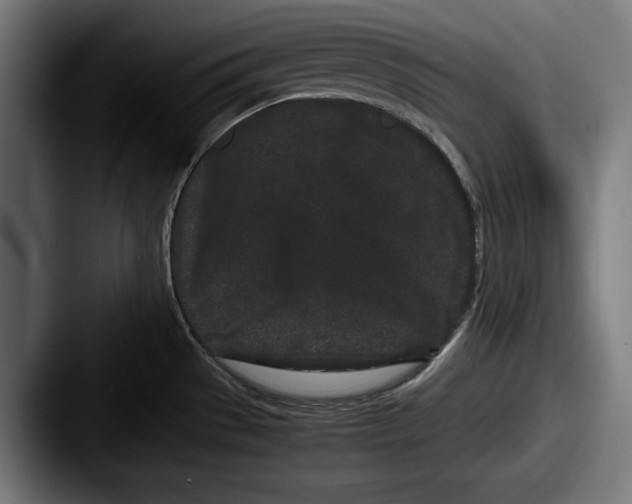 X0000087581529200705181152
