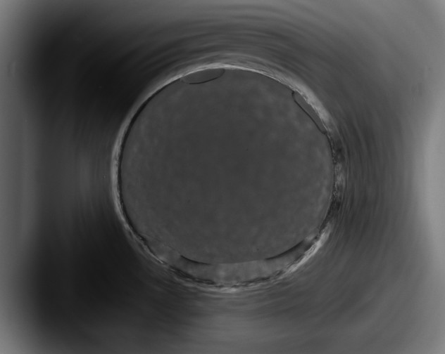 X0000087581530200705181152