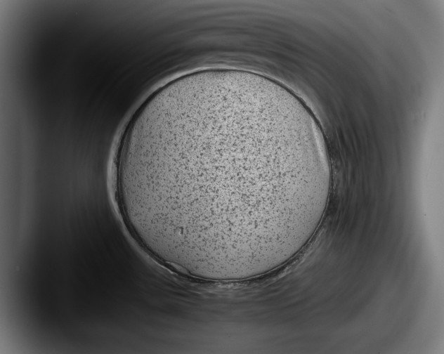 X0000087581531200705181152