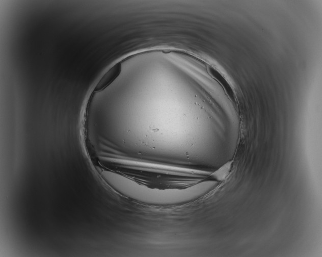 X0000087581532200705181152